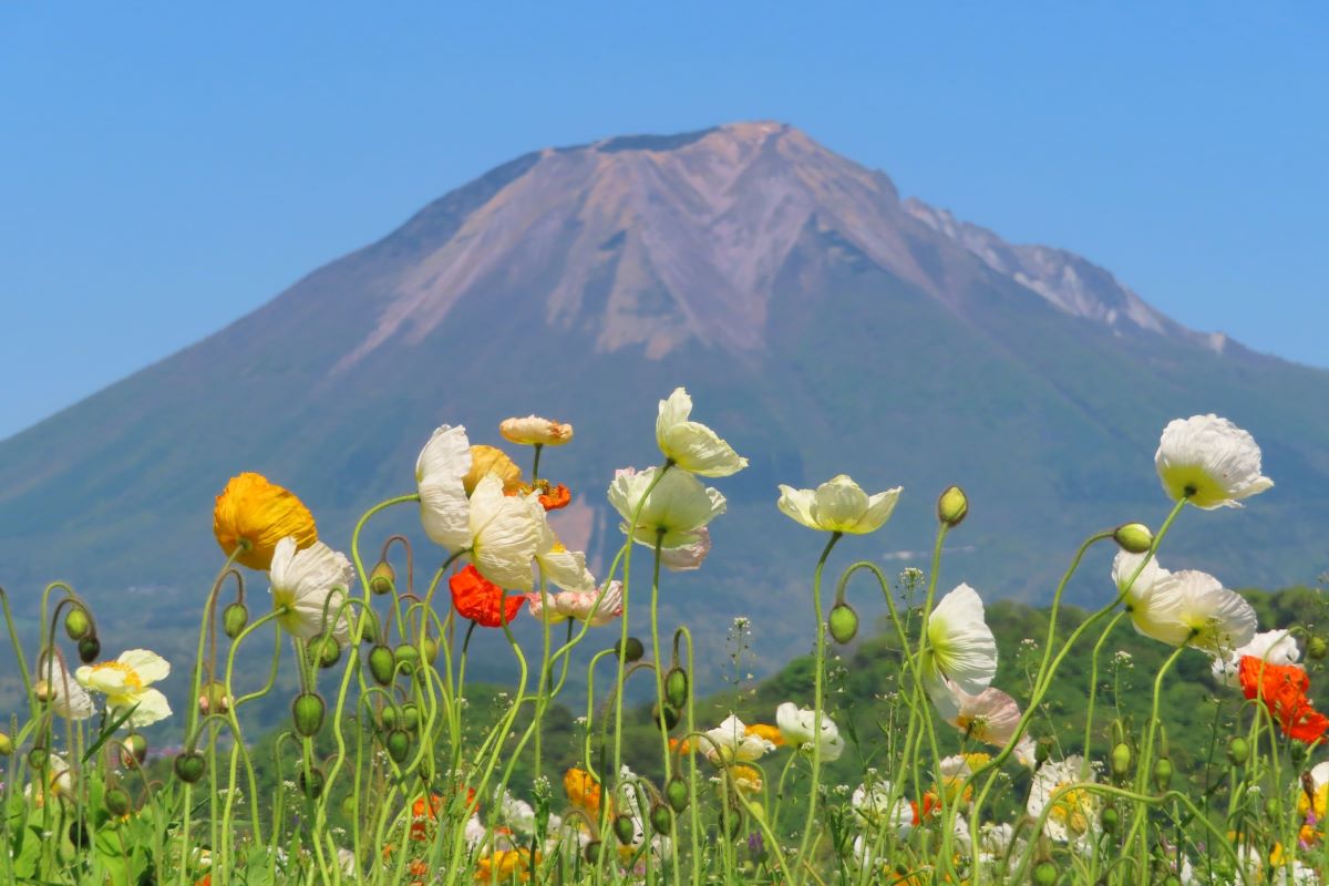 Mt Daisen