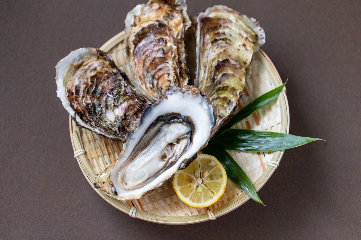 hiroshima-oyster