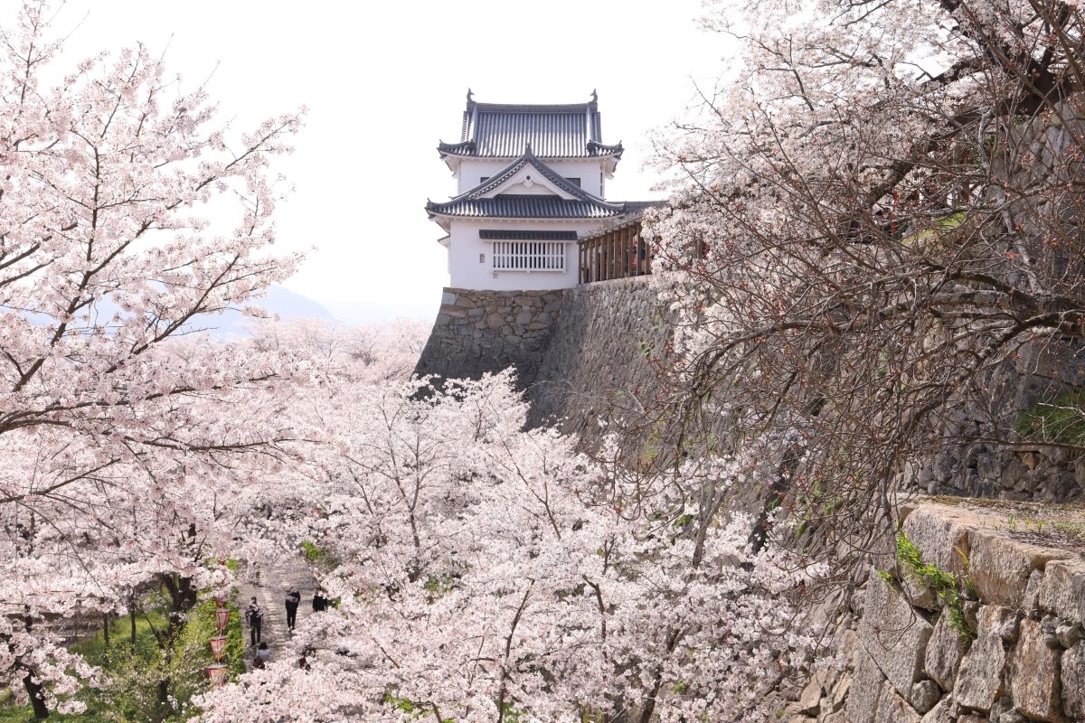 Kakuzan Park Tsuyama