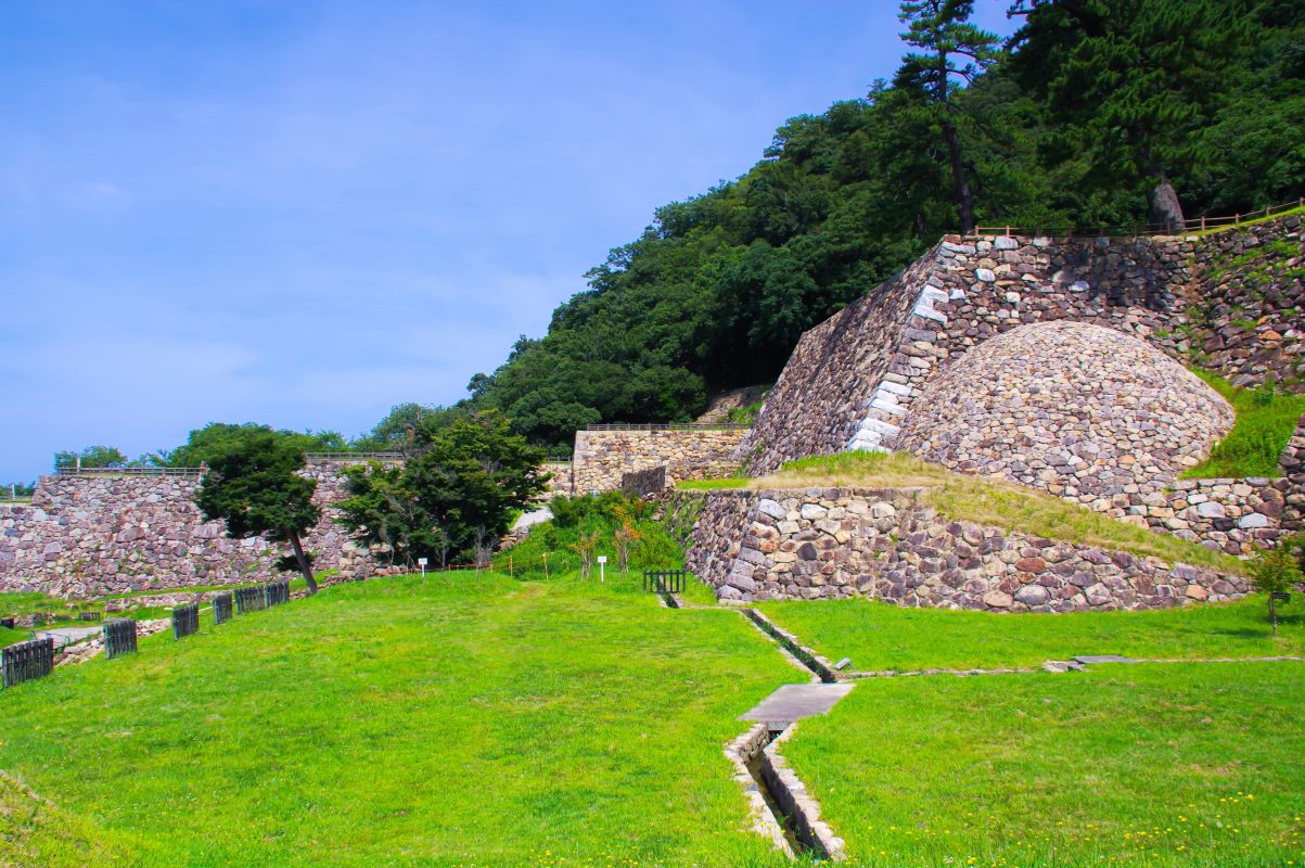 Tottori Castle Riuns