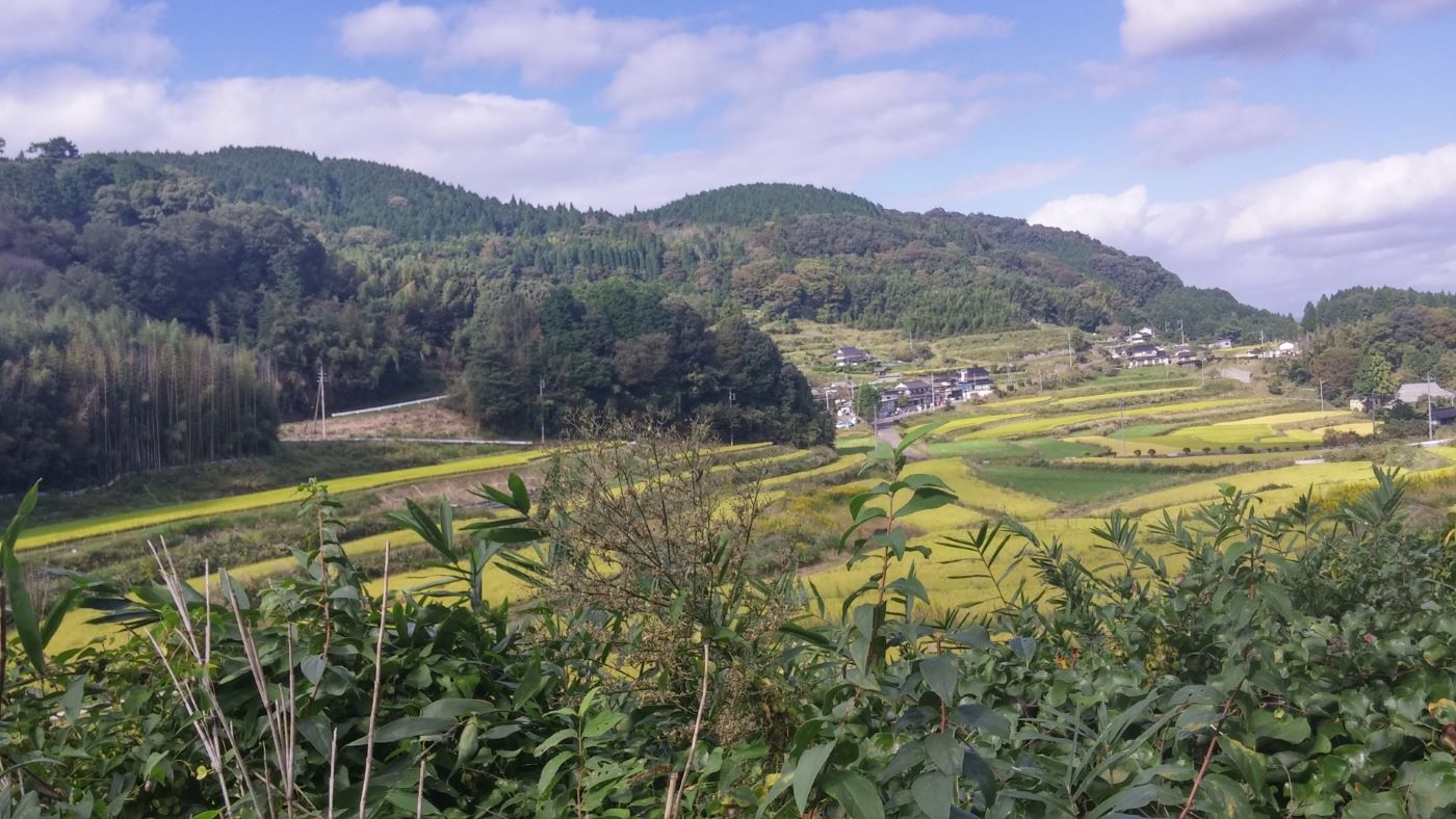 View Fom The Train To Tsuyama