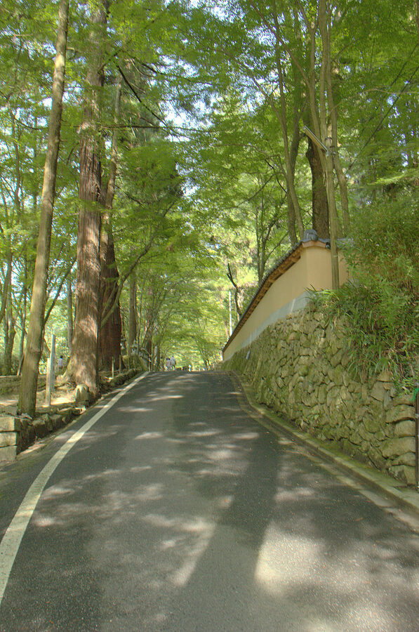 Stone path leading up to Buttsuji Temple in the Mihara hills