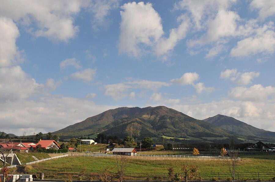 Rolling green pastures and Jersey cows at Hiruzen plateau in Okayama