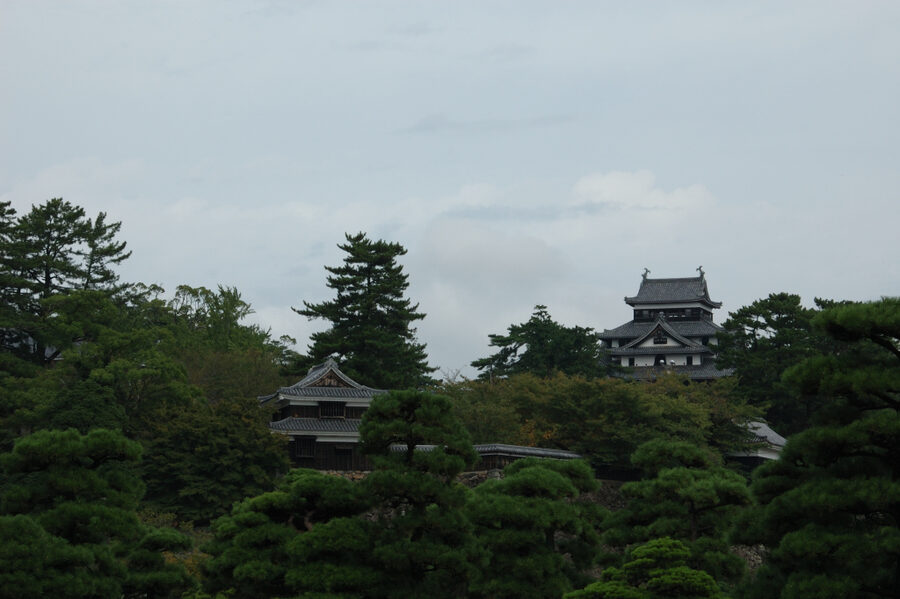 Wide view of Matsue Castle set against pine trees and the castle moat