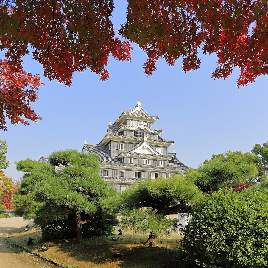 Okayama Castle with its distinctive black exterior and golden fish-shaped roof ornaments