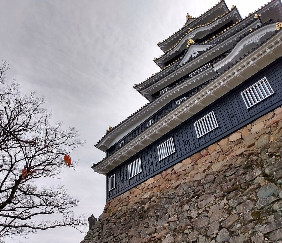 Daytime view of Okayama Castle from Kōrakuen garden side