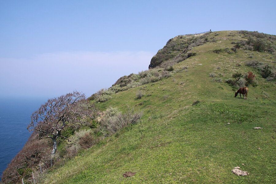 The coastal hiking trail along the cliff tops of the Kuniga coast