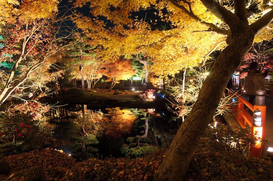 Yuushien Garden illuminated at night showing autumn leaves and a stone bridge
