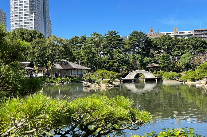 2-Hour Private Hiroshima Morning Tour - A private guide changes the pace