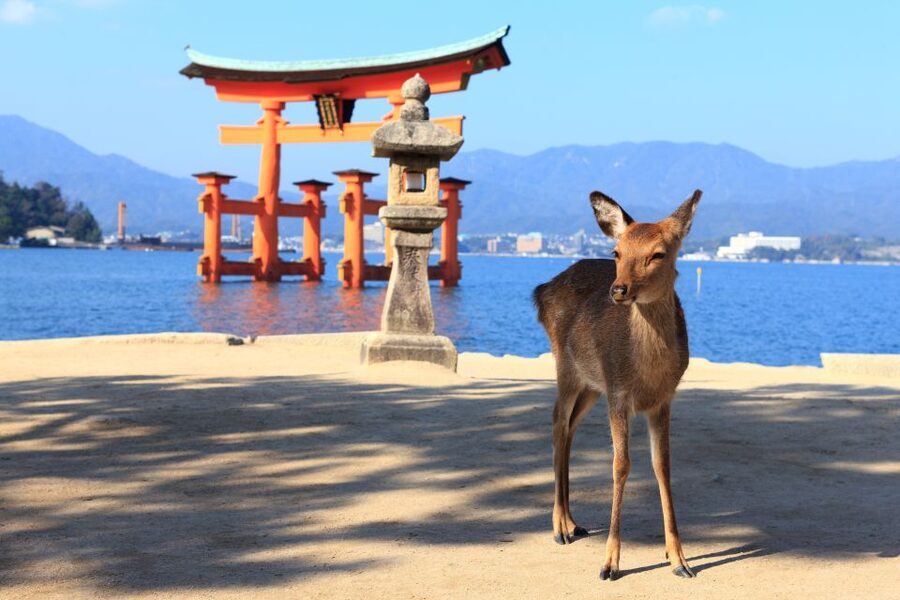 3 Departures: Hiroshima & Miyajima Trip with Indian Lunch - One hour of free time on Miyajima