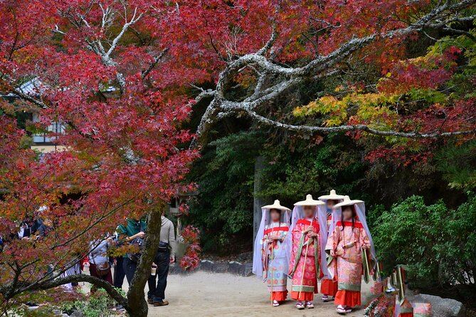 4 Hour Miyajima PRIVATE Tour - Shishiiwa Observation Deck and the mountain choice