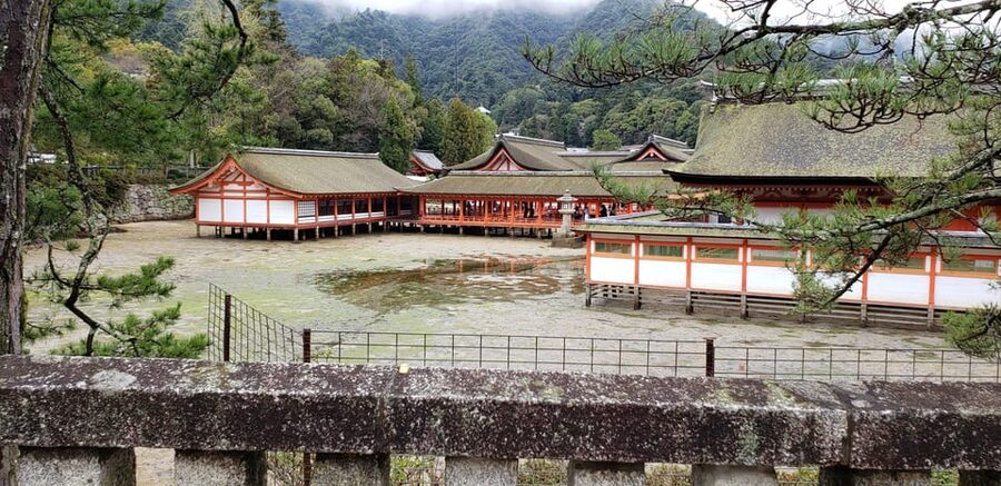 Amazing Hiroshima: Private City Tour with a Local Guide - Itsukushima Shrine and Daisho-in Temple