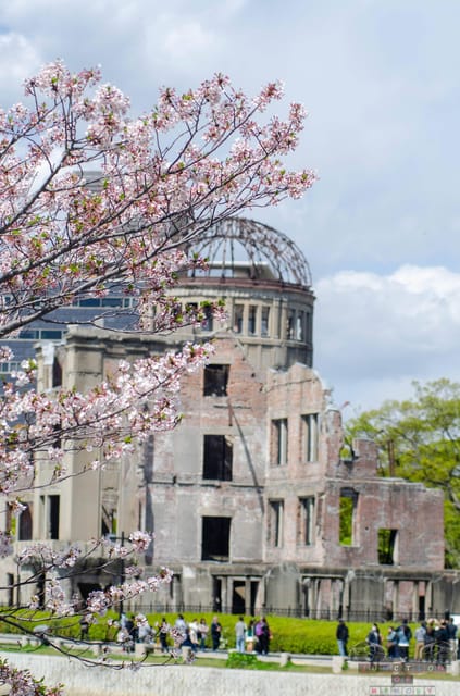 Amazing Hiroshima: Private City Tour with a Local Guide - Starting at Peace Memorial Park