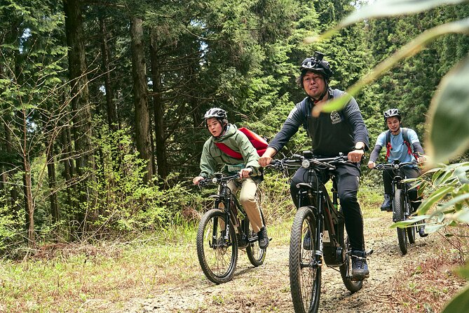 eMTB tour to see the beautiful islands from the summit - Who should book this Mt. Omine outing