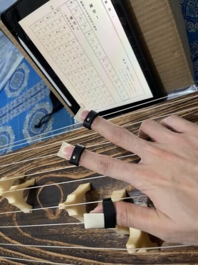 Experience the Soul of Hiroshima: A Peaceful Koto Workshop - Entering the studio near Tatemachi