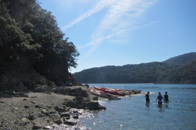 Explore the Nature that Inspired Ghibli Movies by Kayak (Half Day) - Launching from Tomonoura’s historic stone steps