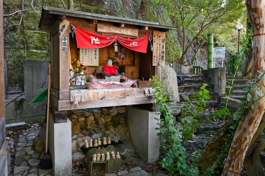 From Hiroshima: Rabbit Island and Takehara Town Tour - Heat, walking, and what to bring