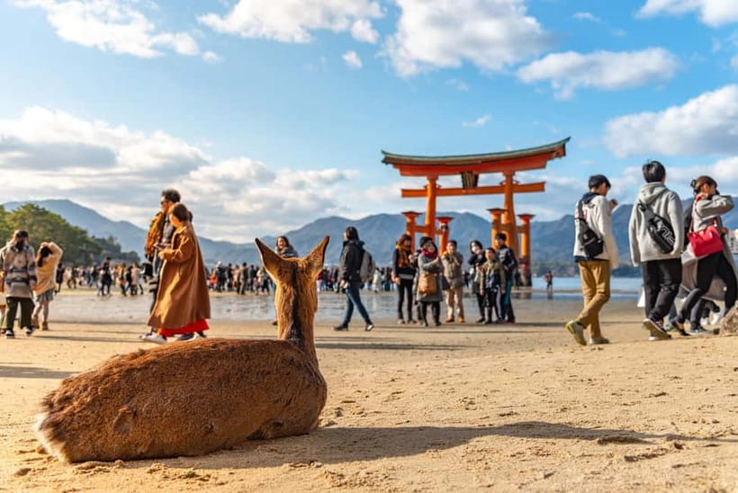 From Osaka: Hiroshima and Miyajima Day Trip by Bullet Train - Why this Hiroshima day trip works