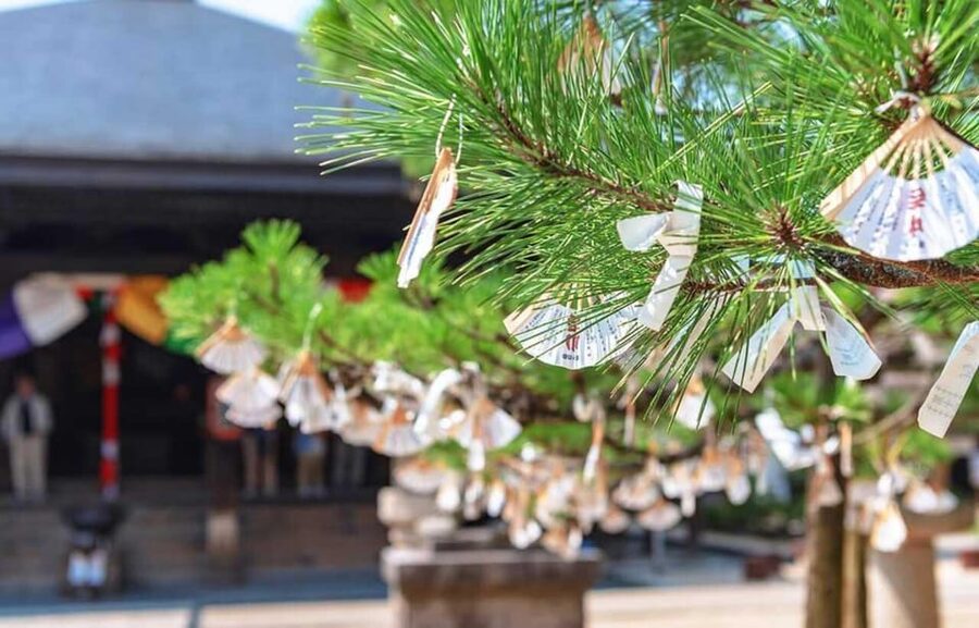 FromOsaka/Kyoto:Hiroshima & Miyajima Private Tour with Lunch - What private touring adds