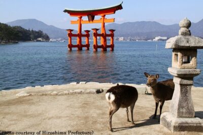 Full Day Hiroshima and Miyajima Tour by Bullet Train from Kyoto - Finding the 7:30 a.m. meeting point