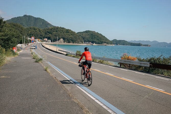 Half-Day Shimanami Kaido Private E-Bike Cycling Tour - 3 Routes - Key points to know before booking