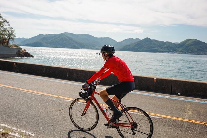 Half-Day Shimanami Kaido Private E-Bike Cycling Tour - 3 Routes - Why the Shimanami Kaido works so well by e-bike