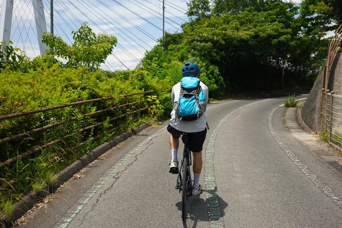 Half-Day Shimanami Kaido Private E-Bike Cycling Tour - 3 Routes - Local food, ice cream, and the value of stopping