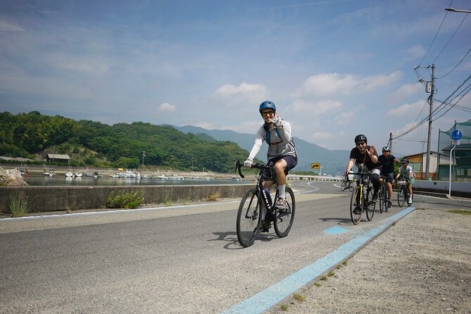 Half-Day Shimanami Kaido Private E-Bike Cycling Tour - 3 Routes - What the guide adds to the ride
