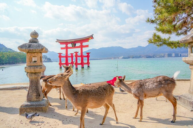 Hiroshima and Miyajima Full-Day Tour from Kyoto by Bullet Train - Walking through Peace Memorial Park