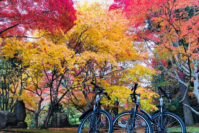 Hiroshima Country Cycling: Explore Rural Life 1 HR from City - Why leave Hiroshima city for Oasa?