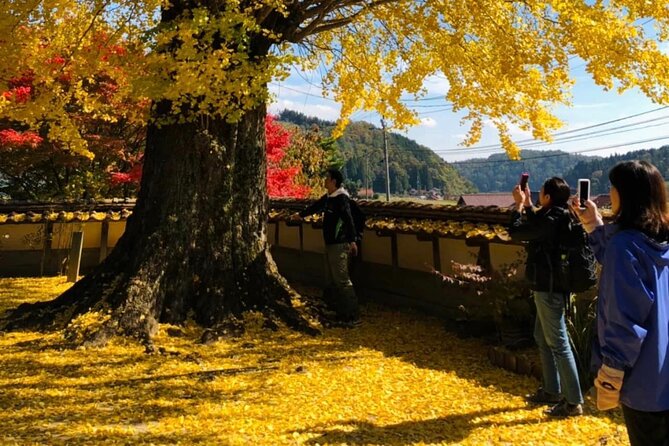 Hiroshima Country Cycling: Explore Rural Life 1 HR from City - How the timing works from 9:00 AM to 5:00 PM