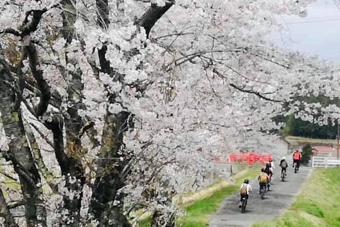 Hiroshima Country Cycling: Explore Rural Life 1 HR from City - Price, group size, and what you receive