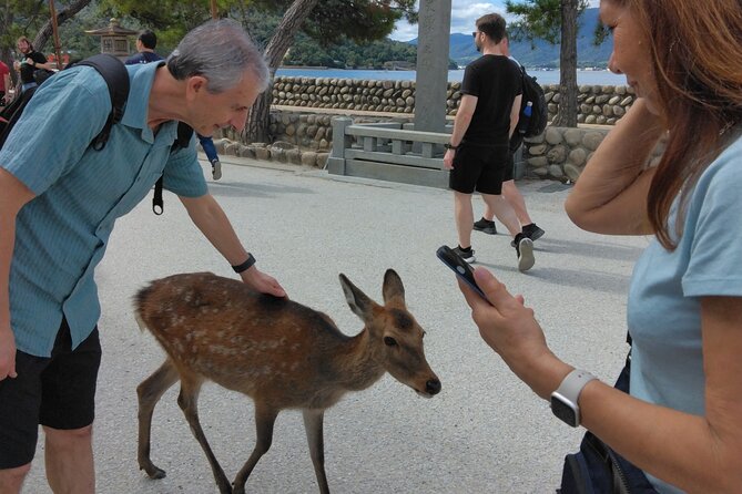 Hiroshima Cruise Pickup : Miyajima & Peace Park Tour with car - Why the private format can be worth the price