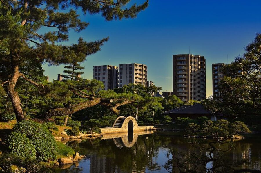 Hiroshima: Hidden Gems and Highlights Private Walking Tour - What the $67 price really covers