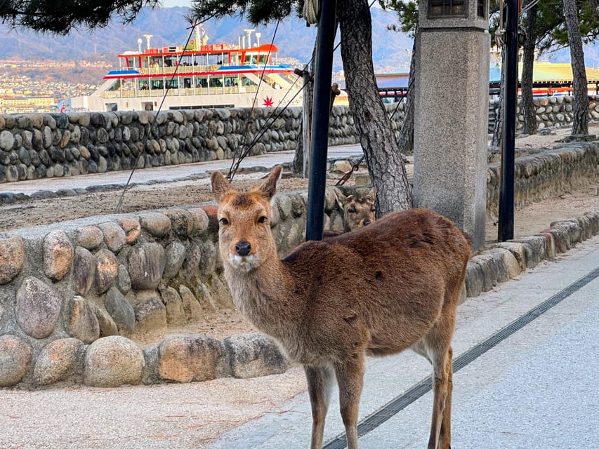 Hiroshima: Hiroshima and Miyajima UNESCO Sites 1-Day Tour - Hiroshima-style okonomiyaki on Miyajima