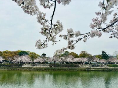 Hiroshima: History of Hiroshima Group Walking Tour - Starting at the Gates of Peace