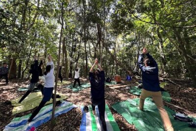 Hiroshima Local guided Hiking Tour&Open-air Tea Ceremony - Hiroshima Toshogu Shrine and the first cultural stop