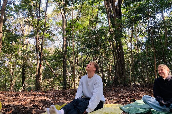 Hiroshima Local guided Hiking Tour&Open-air Tea Ceremony - Forest bathing in a quiet clearing