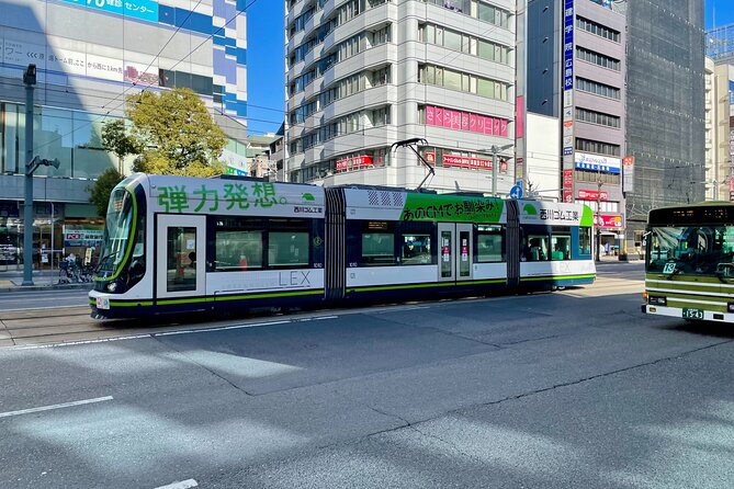 Hiroshima Local Life Walking Tour (Private) - What the private format changes
