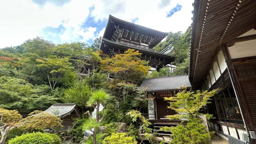 Hiroshima & Miyajima 6.5h Guided Tour – Dome, Park & Shrine - Omotesando Street, oysters, and momiji manju