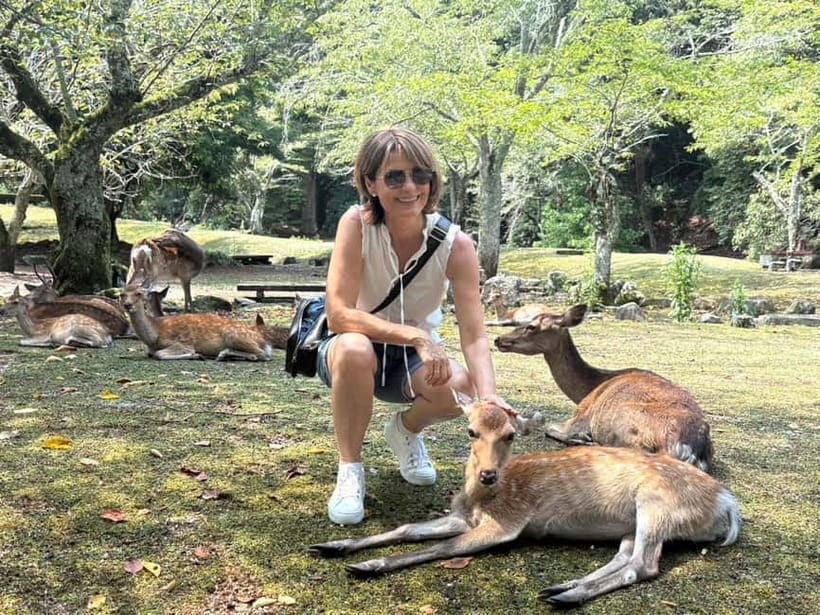 Hiroshima: Miyajima Island Half-Day Tour with Guide - Why Miyajima works so well as a half-day trip