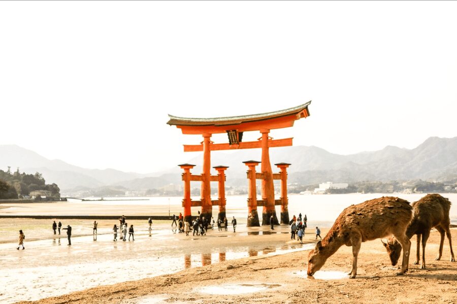 Hiroshima & Miyajima tour with English/Spanish Speaker Guide - Why This Hiroshima and Miyajima Combination Works