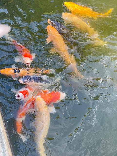 Hiroshima & Miyajima: UNESCO A-Bomb Dome & Itsukushima - Shukkei-en Garden and Hiroshima Castle