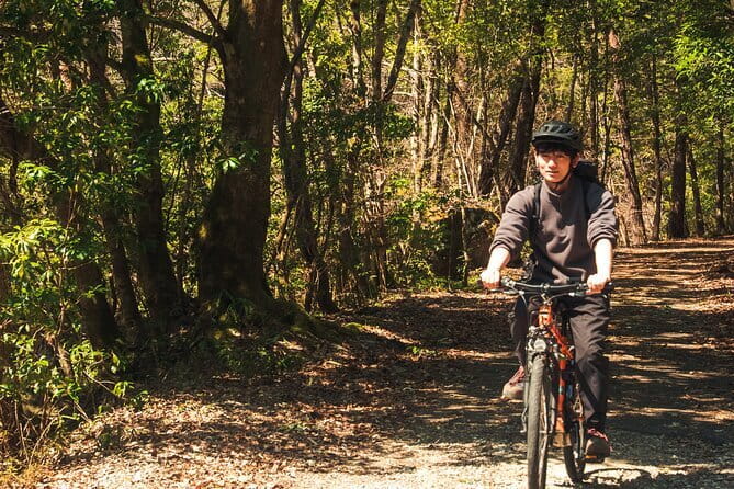 Hiroshima Private Walking Tour with a Local - Is $55 per person good value?