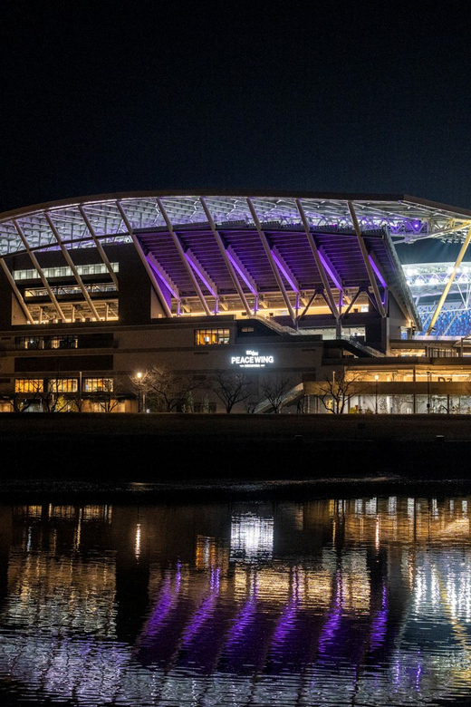 Hiroshima: Sanfrecce Hiroshima Football Game - Why a Sanfrecce Hiroshima match is worth your evening