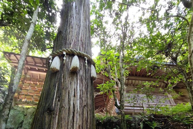 Hiroshima Scenic Cycling Guided Tour - Why this route gives you more than a Peace Park visit