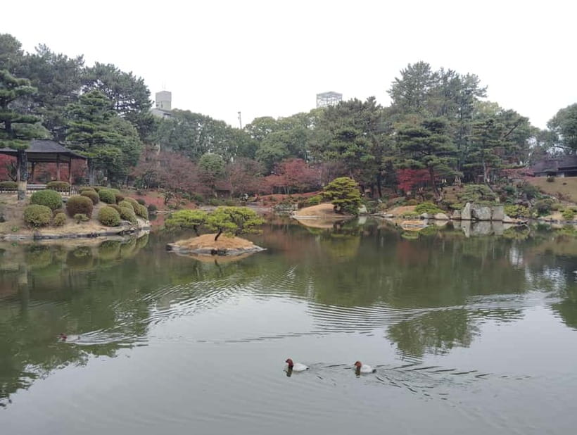 Hiroshima: Shukkei-en Garden with local guide 90min - The value of a private guide at $58