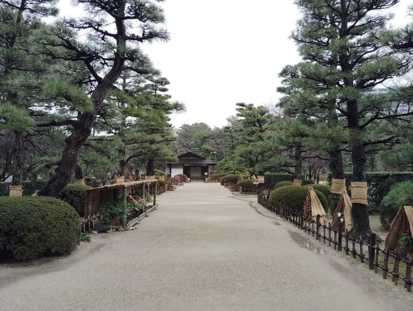 Hiroshima: Shukkei-en Garden with local guide 90min - Who will get the most from this garden visit