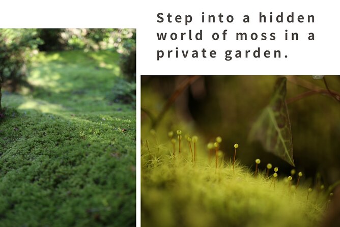 Home Experience: Tea Ceremony & Moss Garden Walk(Day trip) - The 200-year-old farmhouse and its tatami rooms