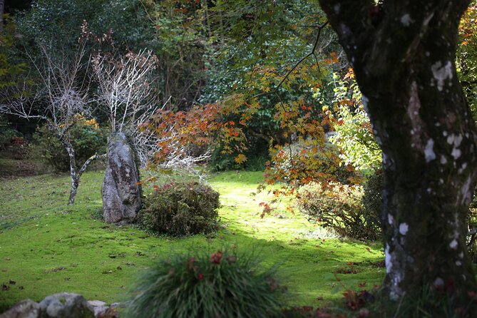 Home Experience: Tea Ceremony & Moss Garden Walk(Day trip) - A gentle introduction to Japan’s moss culture